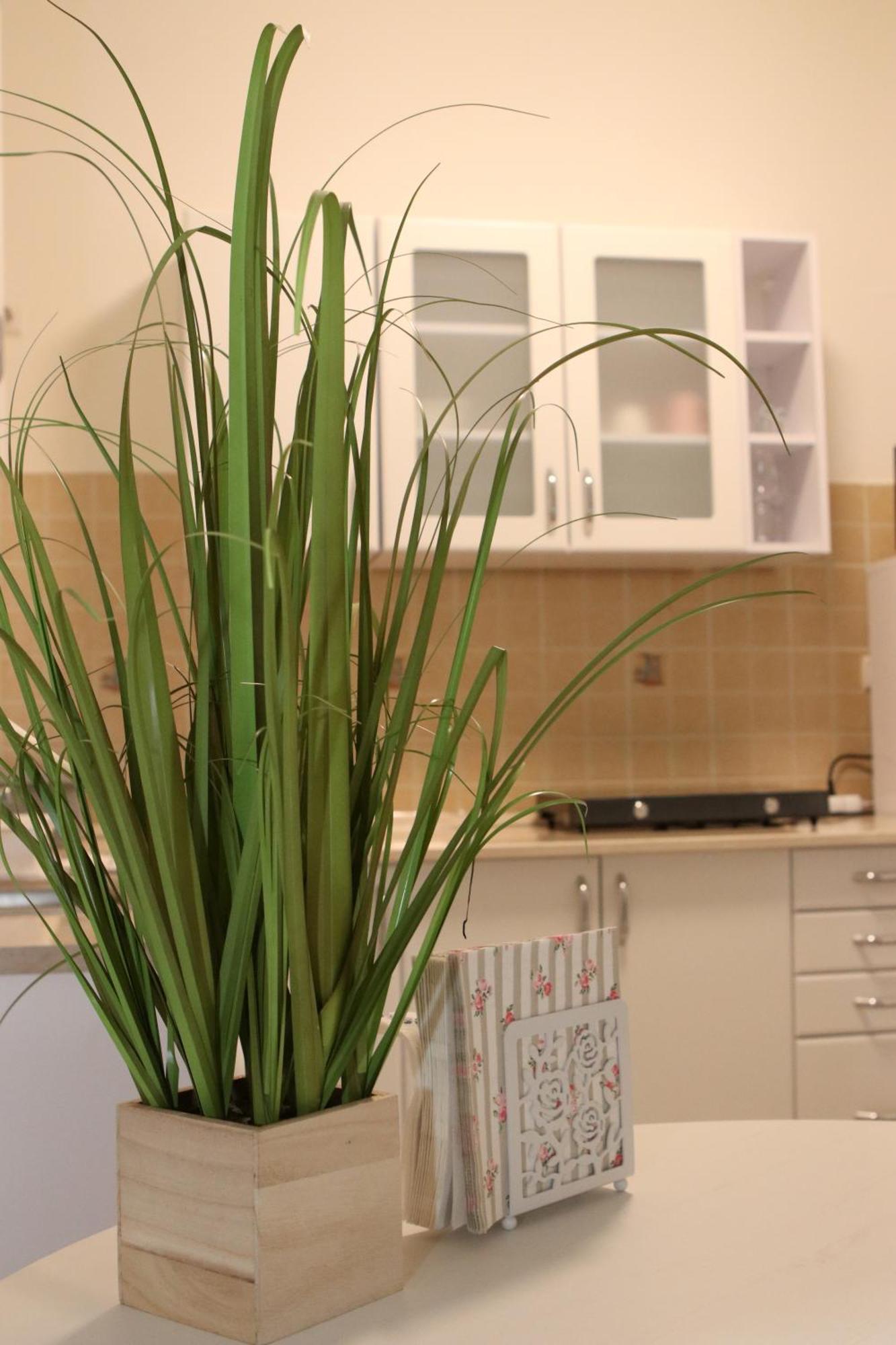Tulipan Apartman Gödöllő Exteriér fotografie